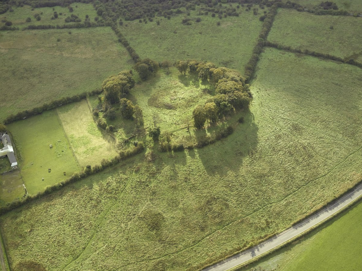 Circle of Trees Google.png