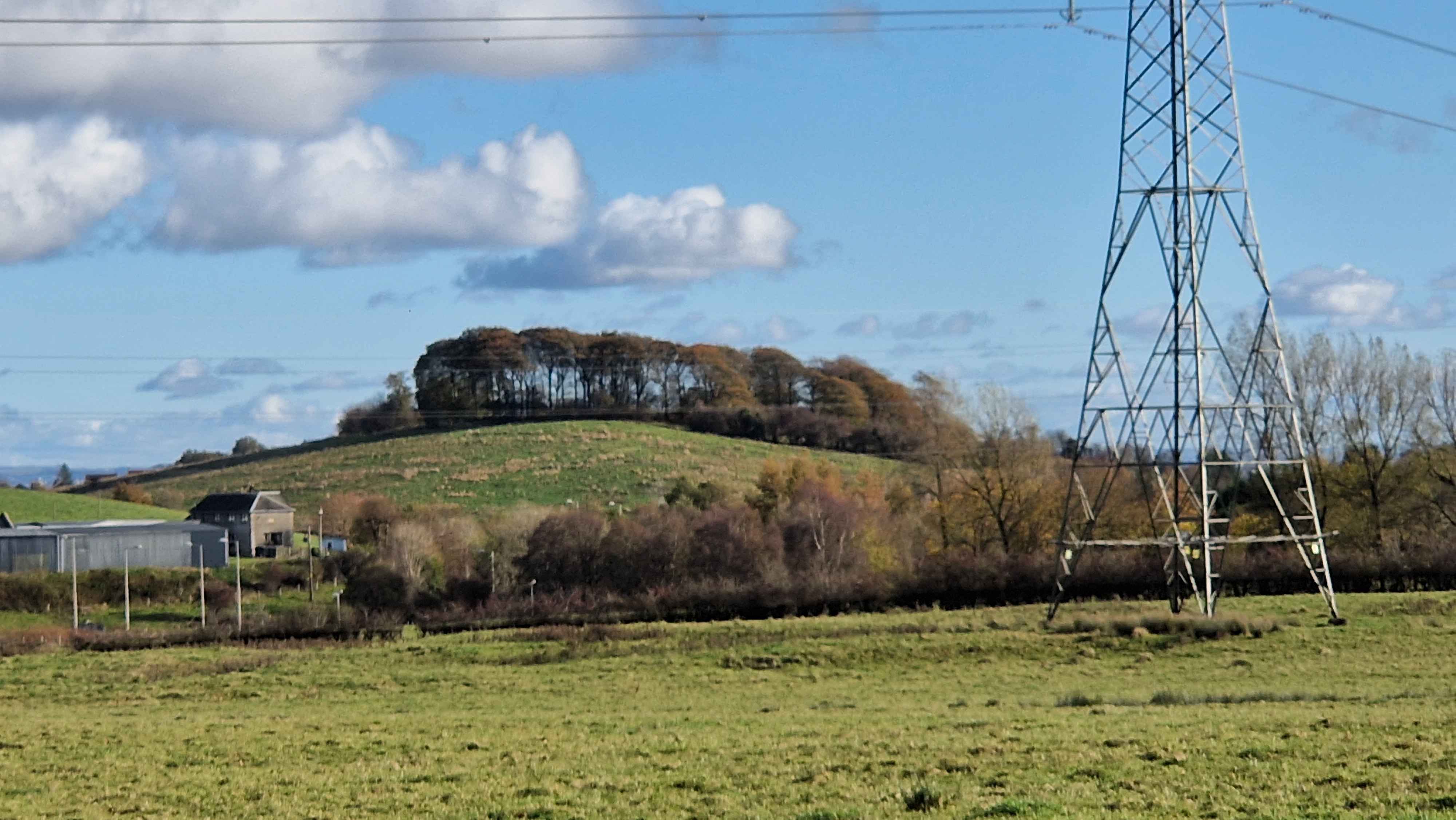 Circle of Trees Walk 2.jpg
